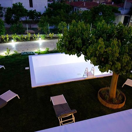Charikleia'S 1St Floor Appartment In Pelion Golos Dış mekan fotoğraf